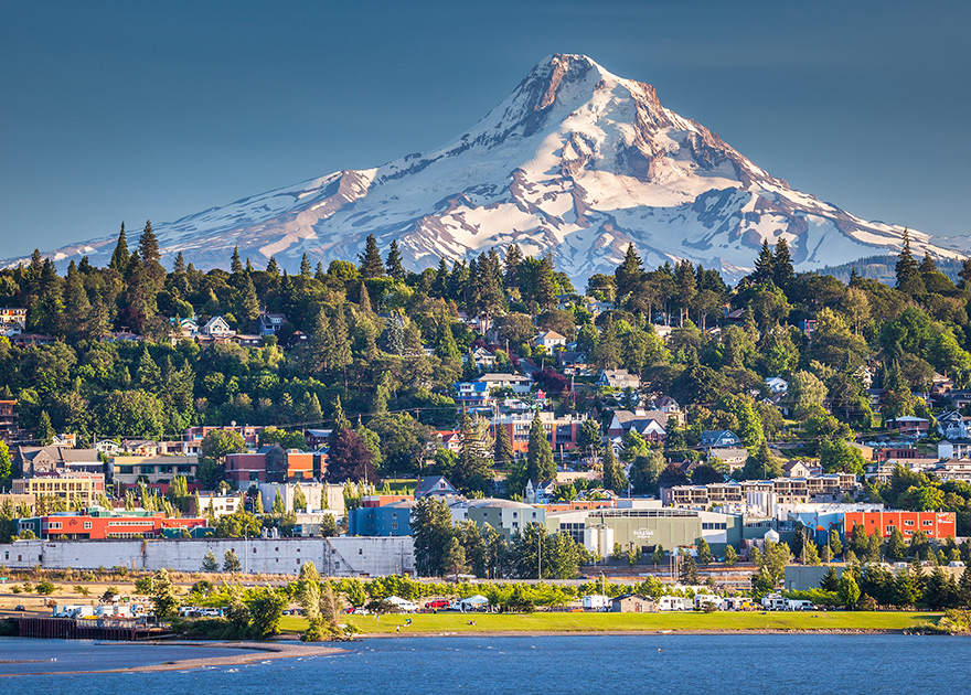 A Better World Tofurky